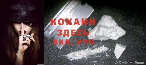 ГАЛЛЮЦИНОГЕННЫЕ ГРИБЫ Лабытнанги
