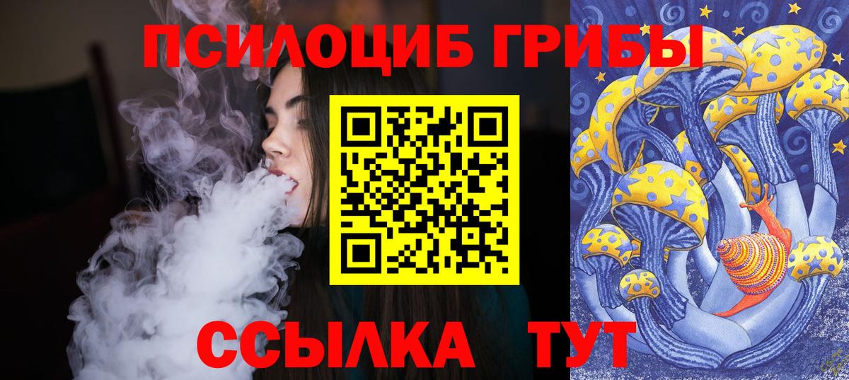 Абакан  Галлюциногенные грибы Psilocybine cubensis  купить  цена  Вход с VPN 